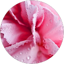 Maelyn Bailey profile picture
